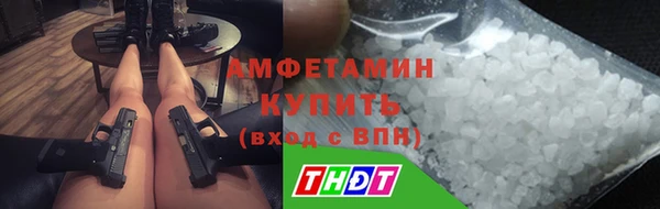метадон Богданович