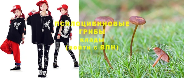 МДПВ Арсеньев