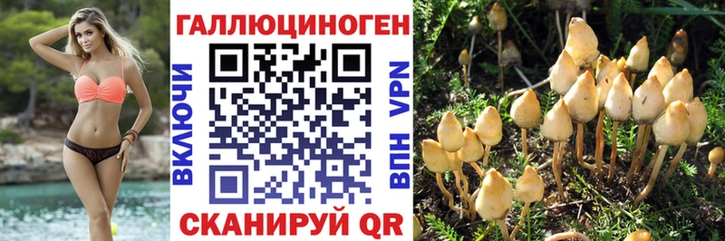 Псилоцибиновые грибы MAGIC MUSHROOMS  дарнет шоп  даркнет клад  Свирск  кракен ССЫЛКА 